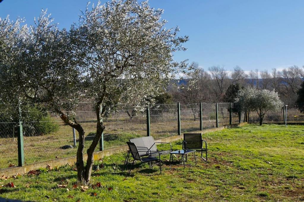 Soleil D'Ocre - Bastide A Roussillon Villa Roussillon en Isere Kültér fotó